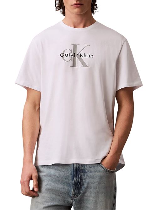 T-shirt in cotone Calvin Klein Jeans | LV04RB862GYAA